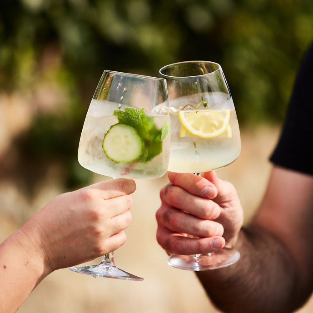 Elderflower and Cucumber Spritz