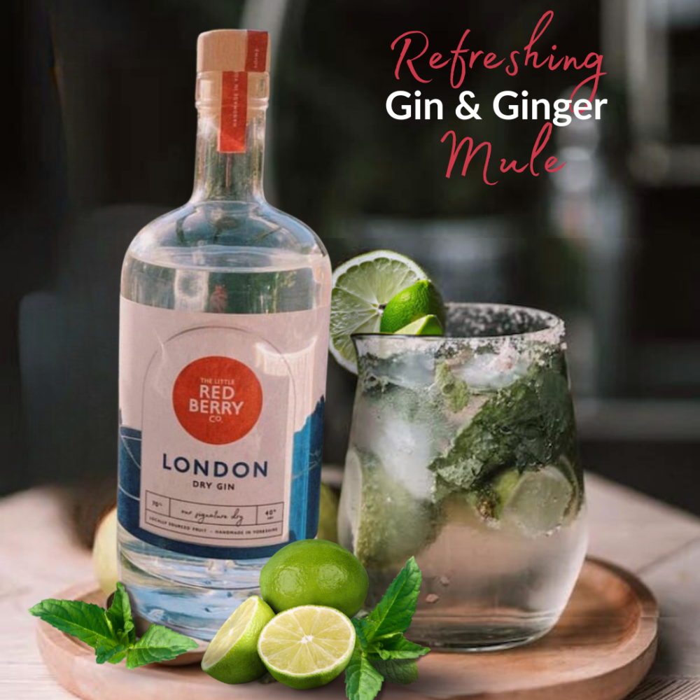 Refreshing Gin & Ginger Mule
